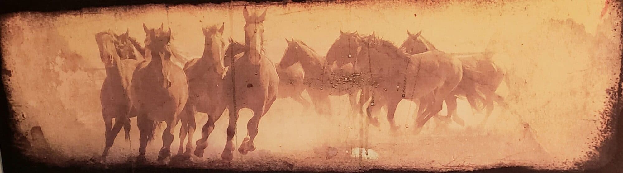 A herd of horses running, in a weathered sepia tone